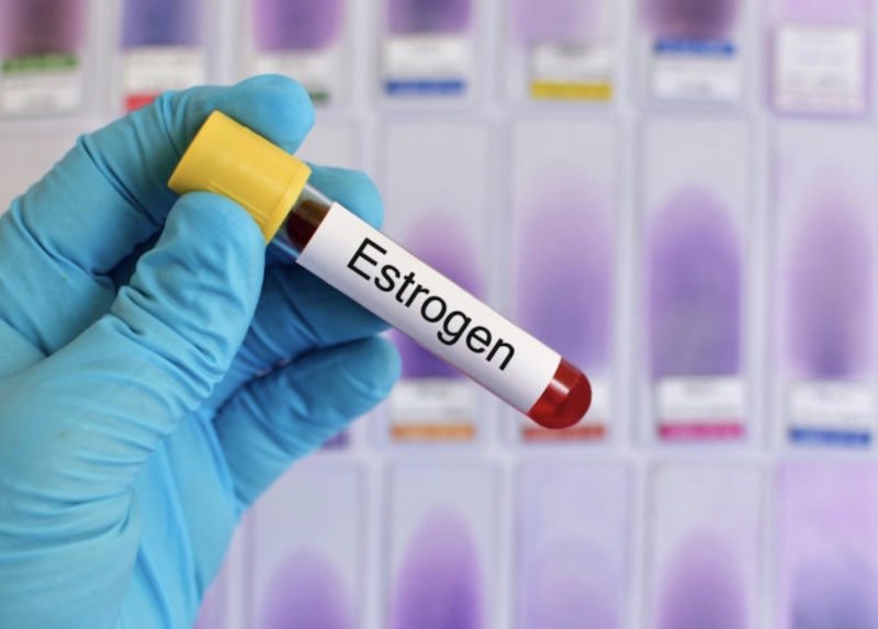 estrogen